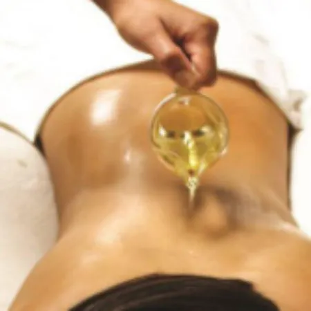 Chateau Des Comtes De Challes-les-Eaux